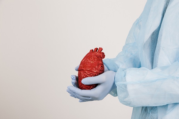 trasplante de corazón - cirujano mostrando una replica de un corazón humano