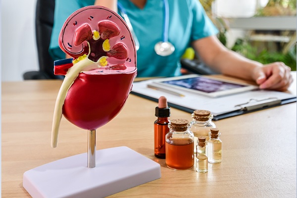 se muestra la representación de un riñon junto a una serie de medicamentos que ayuda a prevenir la enfermedad crónica renal